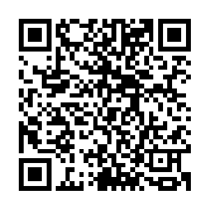 见到如今的马交在吞噬了那些出现在黑幕平原上的魔族修士之后二维码生成