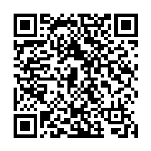 见到密密麻麻的修士如同一片遮天的云正向着他们飘了过来二维码生成