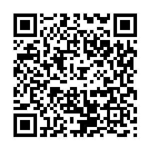 见到有怪模怪样的松鼠向自己呲牙咧嘴顿时就大怒了二维码生成