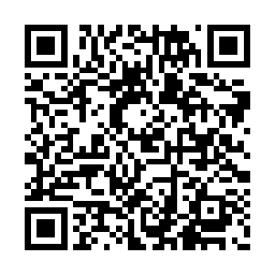 见到杨戬竟然一口道出了自己手中的东西的名字二维码生成