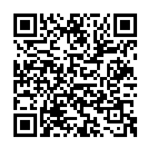 见到现场剑拔弩张几乎要打起来的气氛有些不对二维码生成