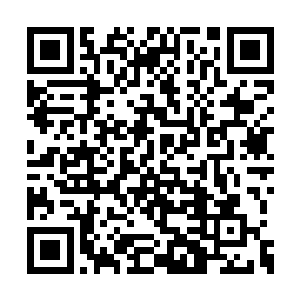 见到的全都是从各个世界通过了登仙路的修真者二维码生成