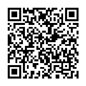 见到蛮苍的样子和感受到对方身上的恐怖的气息之后二维码生成