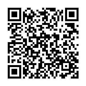 见到许响身上的气息很快从罗天上仙攀升到大罗金仙二维码生成