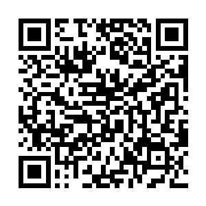 见到这恐怖的组合之后龙傲天的头皮也是一阵的发麻二维码生成