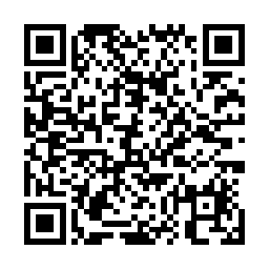 见到那个风情万种女子游弋在一处处危险之中的崇拜与尊敬二维码生成