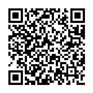 见到那些士兵们收出来的东西都没什么起眼儿的二维码生成