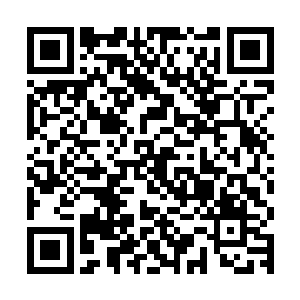 见到那赤红色火乳灵液上面散发出来的浓浓的火属姓的气息之后二维码生成