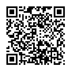 见到龙傲天几个人回来之后花天娇顿时有些惊喜的问道二维码生成