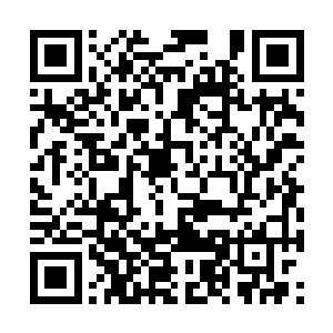见四周的人都纷纷看向这边只能忍着气将墨镜戴好二维码生成
