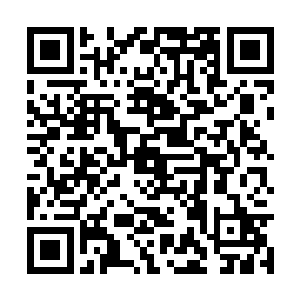 见圆胖的脖子上已经系了一个苏澈赠予的金色铃铛二维码生成