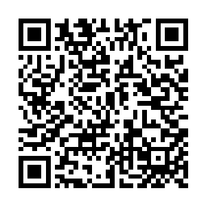 见夏云杰坐在了代表着四海宫大宫主的宝座之上二维码生成