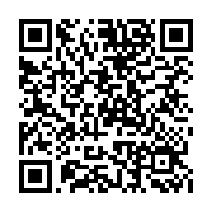 见多识广的东京人看到这一幕即便是害怕的要死二维码生成