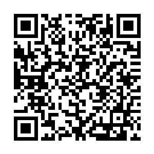 见女国王不怎么想搭理自己十一公主只能尴尬的一笑二维码生成