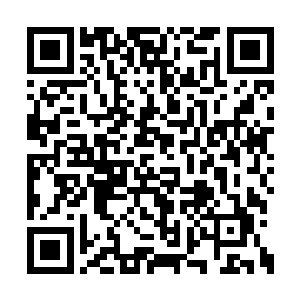 见定王府和赫兰王后夺去了在场所有人的注意力二维码生成