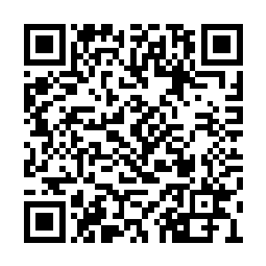 见对方对自己飞船里里外外上下左右检查了半天二维码生成