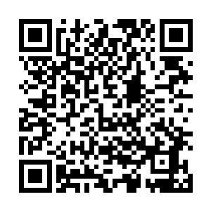 见小拨金鼠们的身子在经过了药液的调整之后越来越好二维码生成