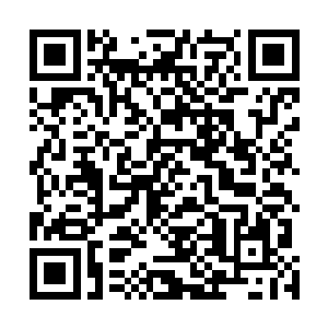 见您不在就走了……您那匹黑马比走时都胖了两圈了……二维码生成