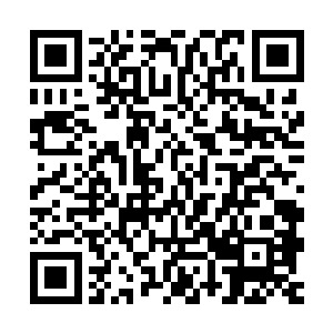 见是以武力博得贵族称号且供职于王宫侍卫头领之一的采泥子爵二维码生成