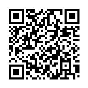 见有一条幽深的小道上种满了梅花二维码生成