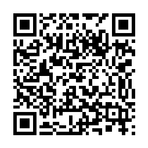 见李雨彤似乎对于帮助自己争夺李家的控制权不太感兴趣二维码生成