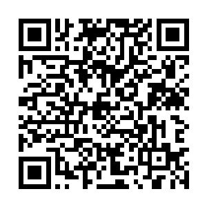 见甜甜还眉开眼笑的把另一块菜饼也夹到林安碗里二维码生成