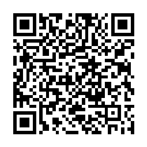 见白商一看到夏云杰就吓得立马从白虎上翻滚而下二维码生成