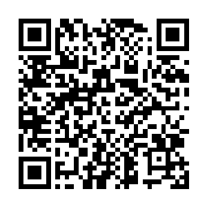见着朱大明的骚样吴虎臣就没好气的在他脑袋上敲了一下二维码生成