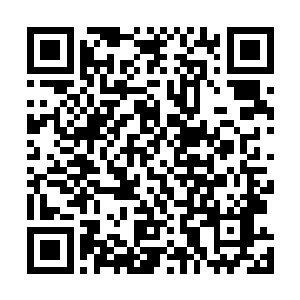 见老太爷冲动地拎起挂在书房墙上的那柄做工精良的戒尺二维码生成