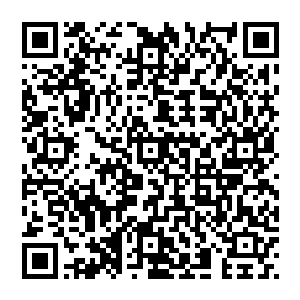 见自己的音波力量竟然无法伤到剑尘琴圣天魔女的眼中也露出吃惊的神色旋即手中琴曲一变娇喝道二维码生成