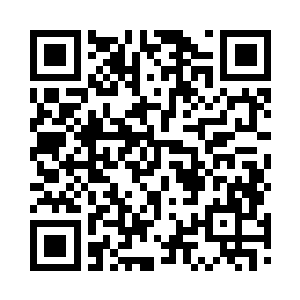 见血雨这般不顾一切的想要击杀自己二维码生成