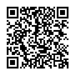 见证日本金枪鱼历史上最不可思议的家族和他们神奇的金枪鱼二维码生成