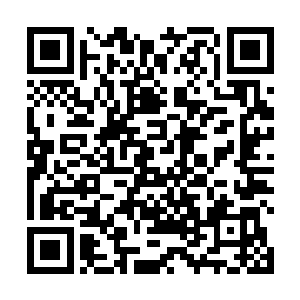 见识了秦林驱赶黄台吉等人活生生葬身狼口的狠辣劲儿二维码生成