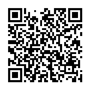 见识到道术在接近顶阶证道圣器的加持之下发挥出的威力二维码生成