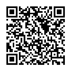 见过的最多的钱是家里买房子的时候拿出来的十几万二维码生成