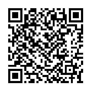 见这个年轻的御史眼含得意的低头站在大殿中间二维码生成