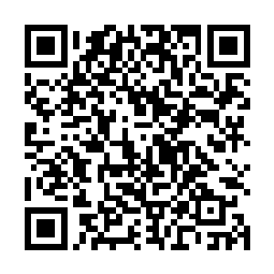 见这位住柴房的衰少年在文曲星诞辰这天竟然不去祭拜二维码生成