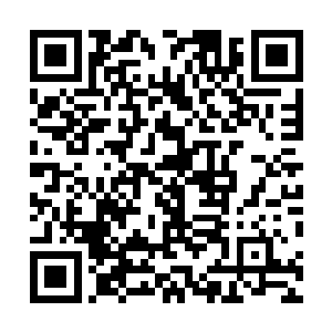 见都被半空中抢夺第一块令牌的十几人厮杀吸引住了目光二维码生成