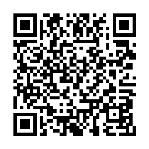 见陈诚似乎并没有因为之前的小矛盾而留下芥蒂二维码生成