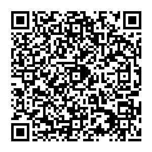 见风清扬吃惊 一旁的婉儿顿时掩嘴轻笑 自从闭关之后 苏醒过來的她的确是改变了太多 好像瞬间长大了二维码生成