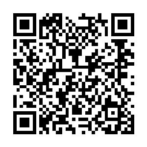 观众们却看到包括主持人在内的所有人都站了起来二维码生成