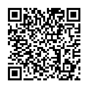 观众们的目光纷纷投向了刚刚进入观众席的那几个人的身上二维码生成