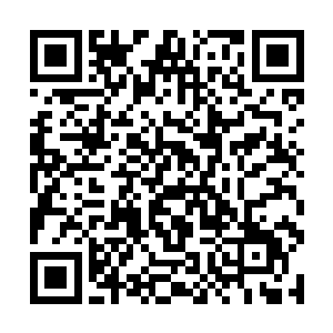 观众就好像看到了自己身边比自己稍微强一点的人士二维码生成
