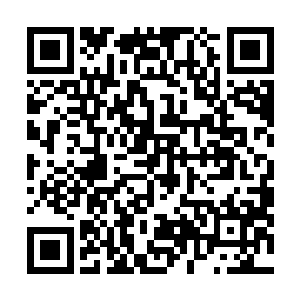 观察位最好的二号狙击手也堪堪只能看到凯尔的半个手臂二维码生成