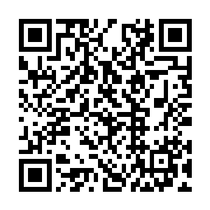 观察其风化程度可以判断埋藏时间大约在十年左右二维码生成