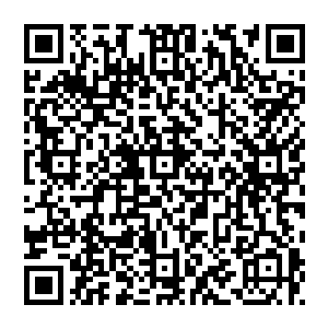 观察哨是为了建造观测阴间海底一件宝物的……浮塔是天尊道和诸魔道一起共同摆下的大阵……具体作用我不懂二维码生成