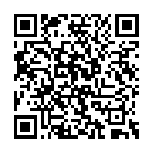 观察完了之后龙傲天直接开始了自己的杀戮之旅二维码生成