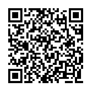 观者要从视听和大脑层面要面临海量的信息处理二维码生成