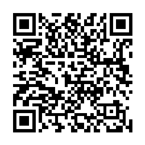 规划路线的斥候与莽山尼族派出的勇士在崎岖的道路间穿行二维码生成