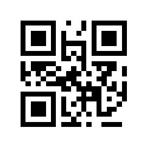 视着二维码生成